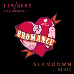 Tim Berg aka. Avicii - Seek Bromance (Slamdown Remix)