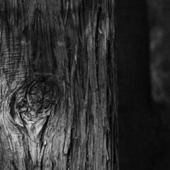 In The Woods - Mix 03/18 (downtempo)