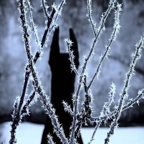 Adam - Weißer Tau (Prod. ThatKidGoran)