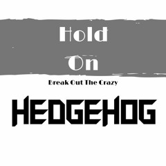 Hold On - Break Out The Crazy (Hedgehog remix)