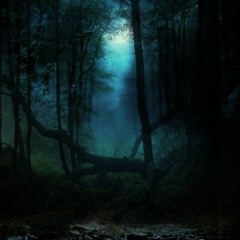 Midnight Forest