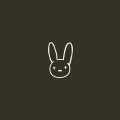 Bad Bunny - Amorfoda (The Marraquets Remix)