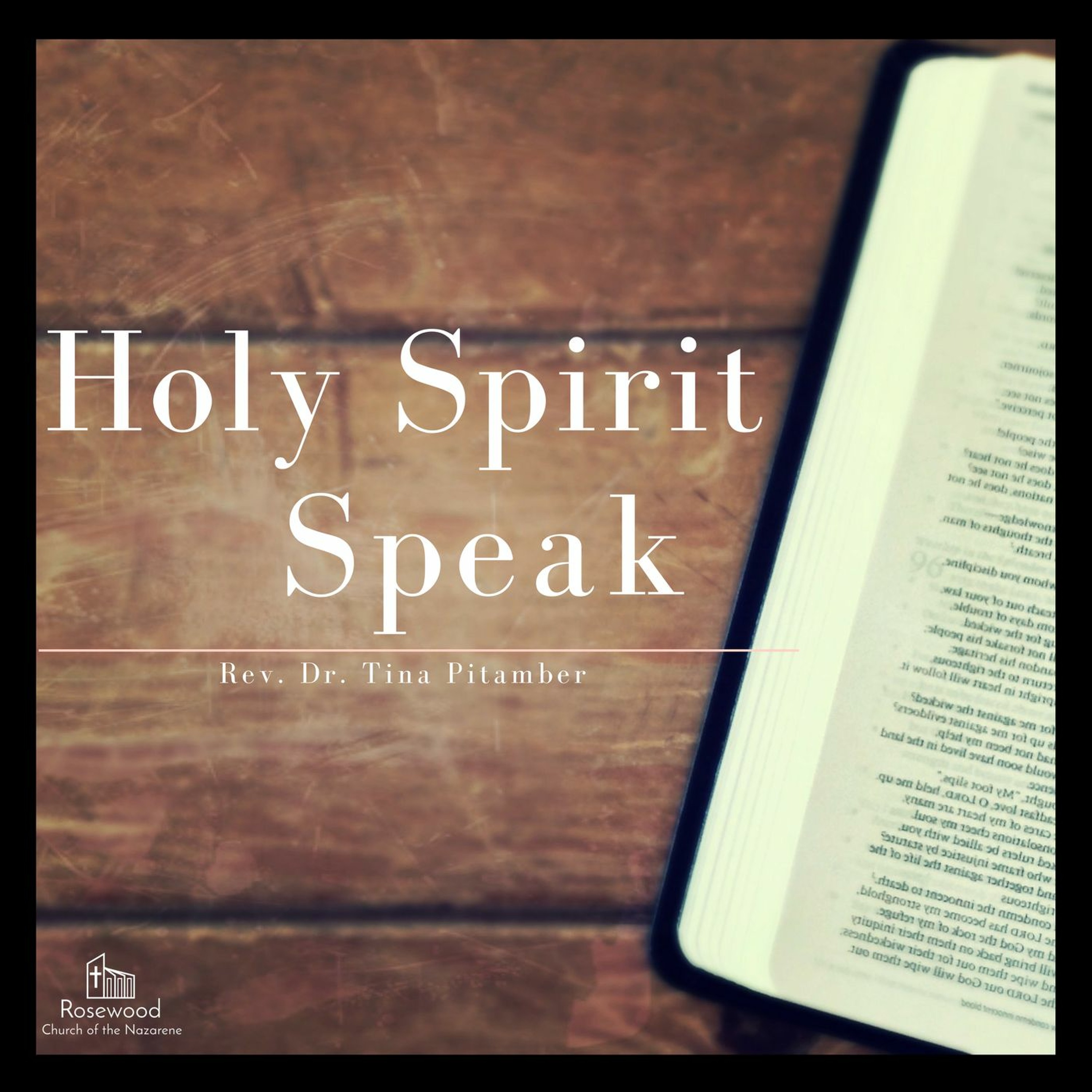 Holy Spirit Speak - Rev. Dr. Tina Pitamber episode artwork