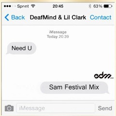DeafMind & Lil Clark - Need U (Sam Festival Mix)