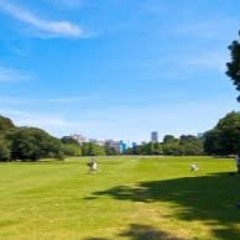 最高のサタデー