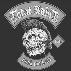 TOTAL IDIOT - I Believe Punk's Not Dead