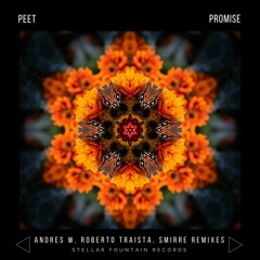 Peet - Promise (Original Mix)