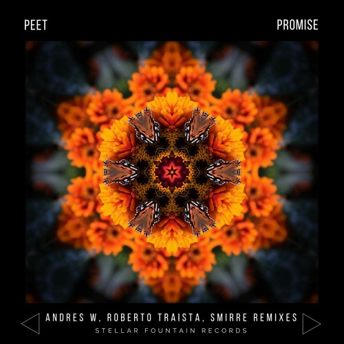 Peet - Promise (Original Mix)