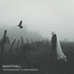 Tim Schaufert & CASHFORGOLD - Nightfall
