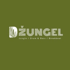 DJ Twitch - Dzungel Estonia Set