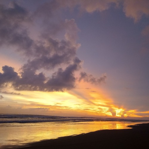 Stream Here Is Hikari Catatan Kecil mp3 by BONNA MS Listen online