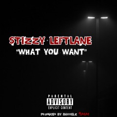 What You Want [Produced By Barrelz9mm]