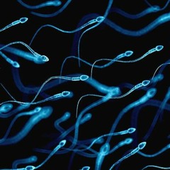 Sperm Quality & Fertility Booster Subliminal