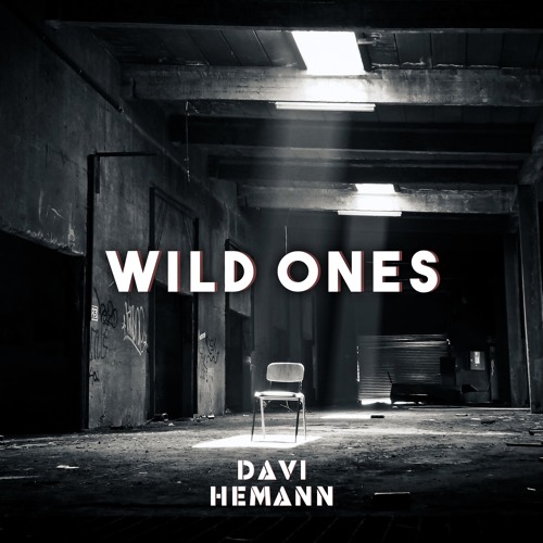 Davi Hemann - Wild Ones (Original By Flo Rida & Sia) | FREE DOWNLOAD