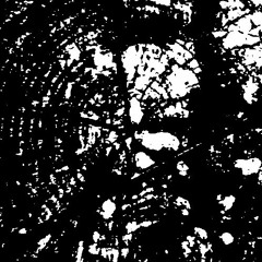 Misnomr - Sites of Exposure