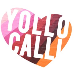 What We Hold: National Museum of Mexican Art, Chicago