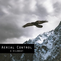 (Free) Upbeat Modern Rap Beat "Aerial Control"