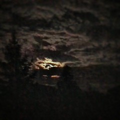 Zjeban" || (Prod. Skx_Rx)