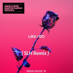 David Guetta, Martin Garrix & Brooks - Like I Do (SLH Remix)