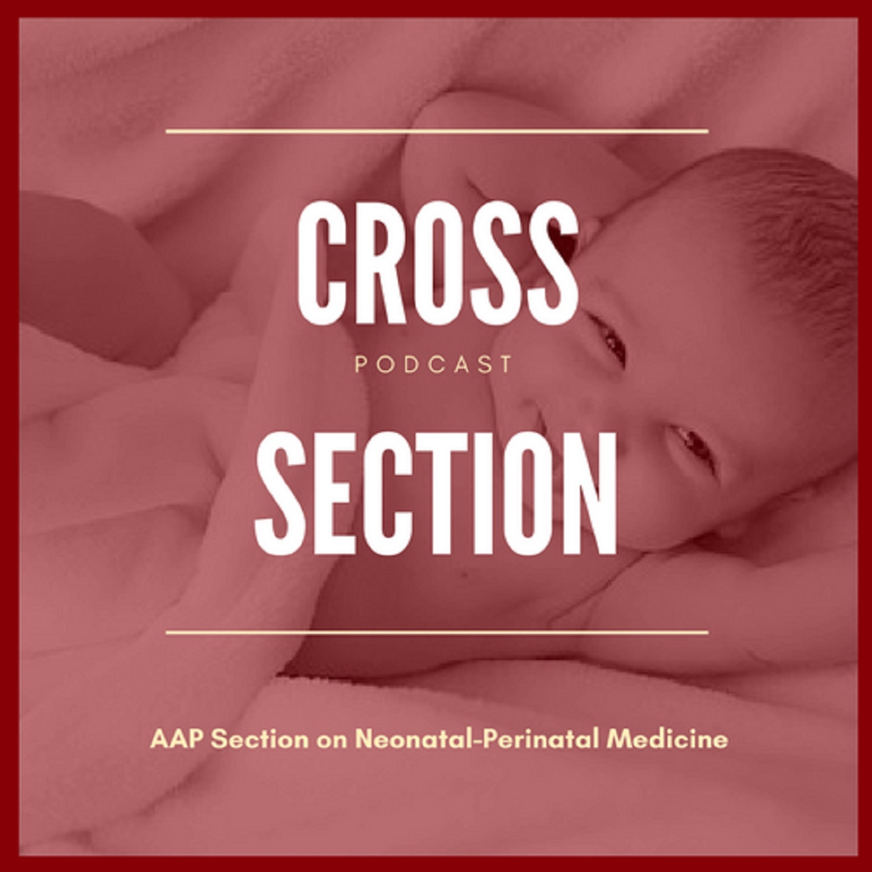 Cross Section - The AAP Annual Leadership Forum (Lily Lou)