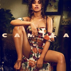 Camila Cabello - Somethings Gotta Give (Jack Benjamin Remix)
