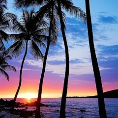 Lofi Beach