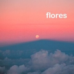 FLORES MIX