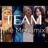 TEAM Dance Megamix ft Iggy Azalea Ariana Grande Justin Bieber Beyonce Selena Gomez (explict)