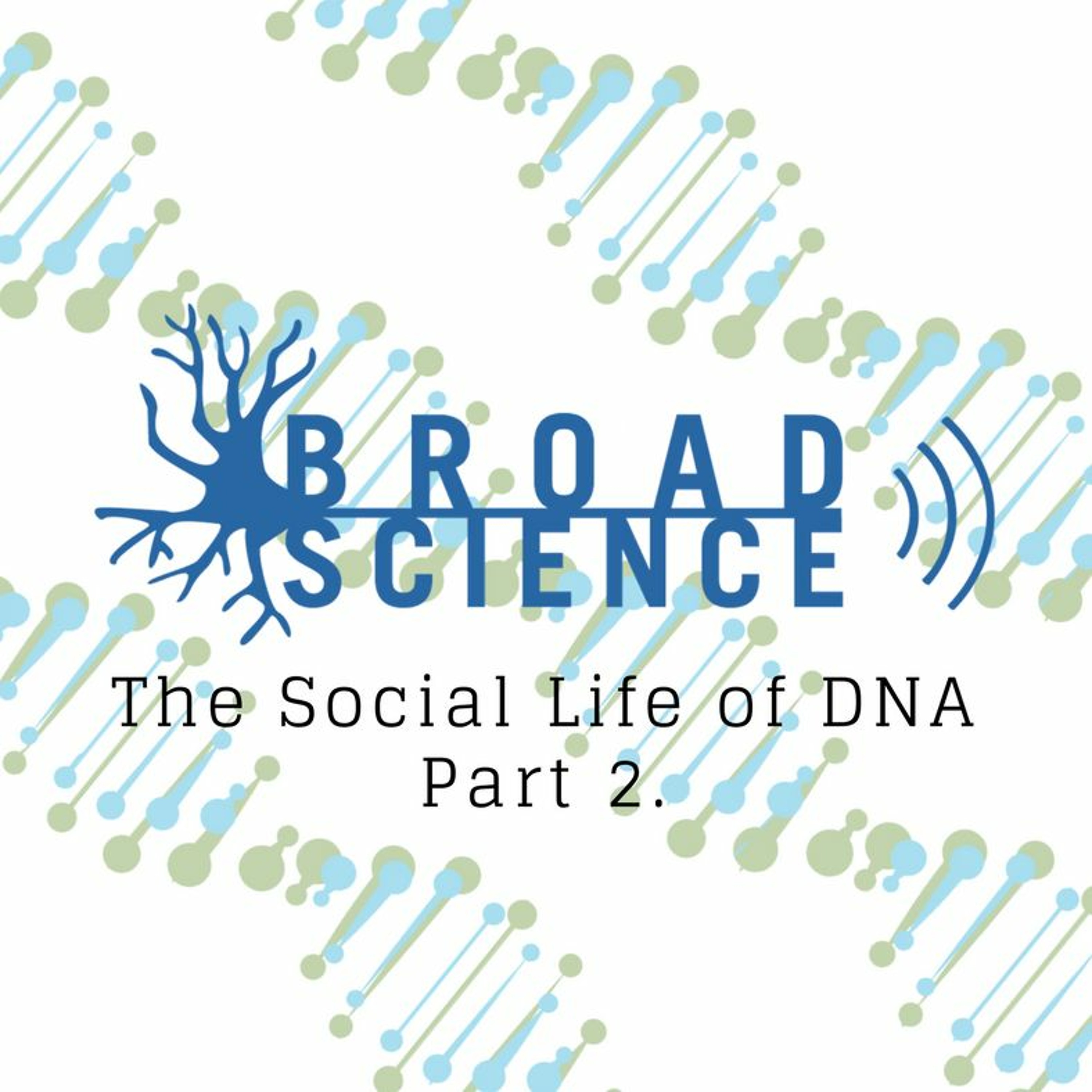 The Social Life of DNA Part 2: What does it mean to be Indigenous?