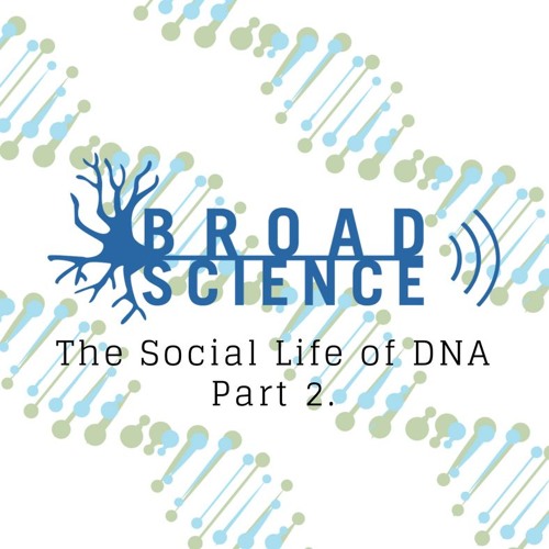 The Social Life of DNA Part 2: What does it mean to be Indigenous?