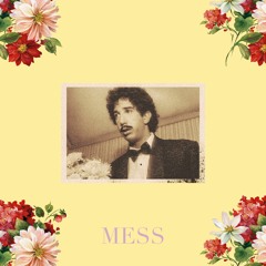 Mess