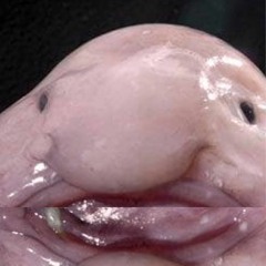 U Are All So Nice And Special