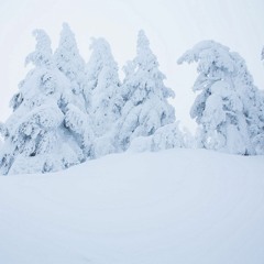 Snowday