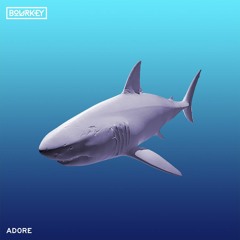 Amy Shark - Adore (Bourkey Bootleg)