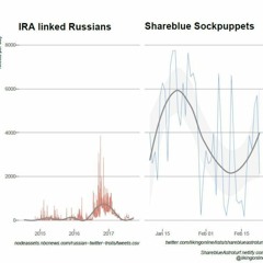 Domestic Political Influence Operations & Social Media Manipulation : Interview w/ Likingonline