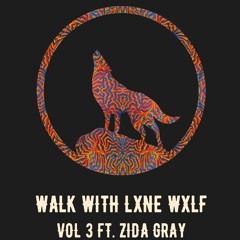 Walk With - Vol.3 ft ZIDA GRAY