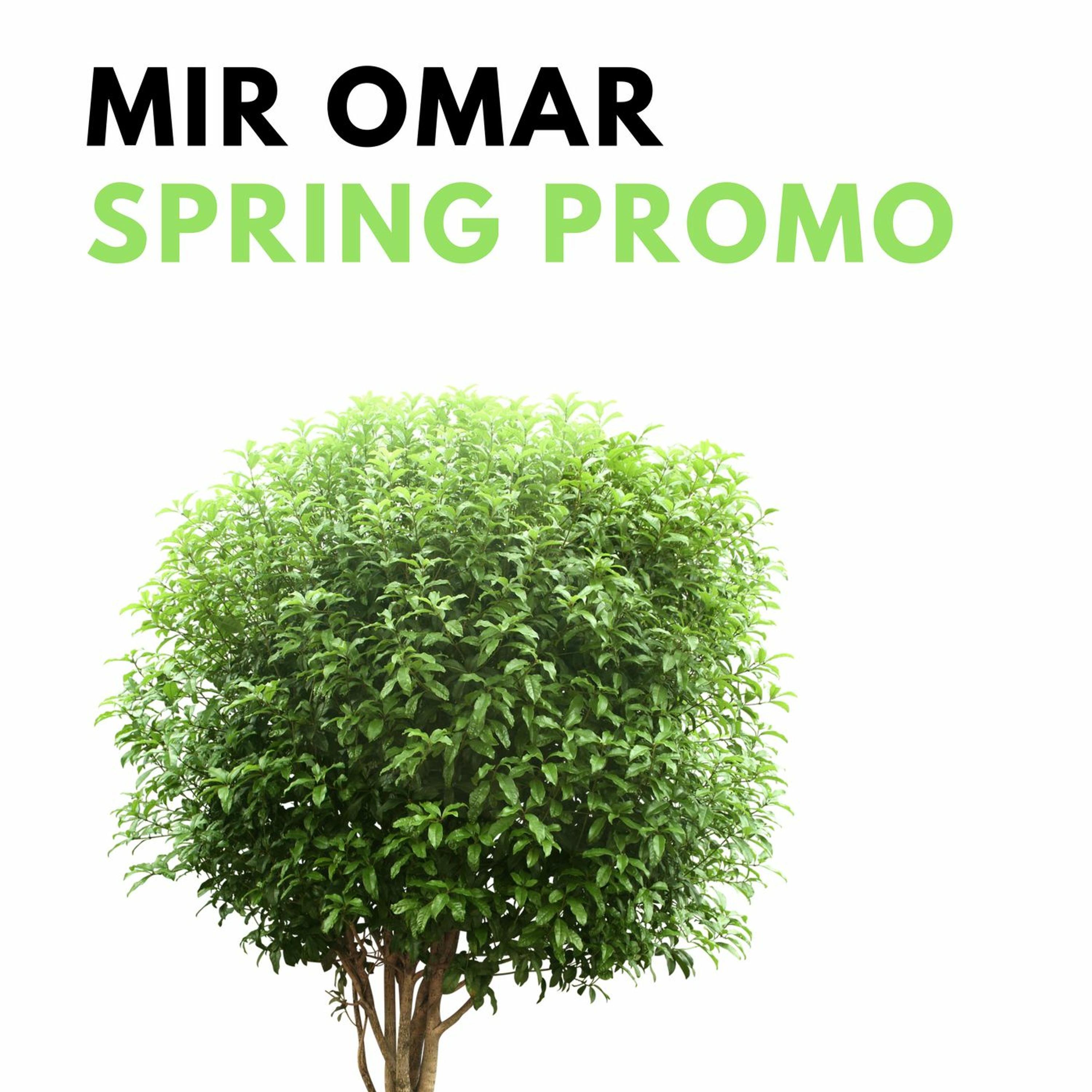 Mir Omar: Promo Mixes