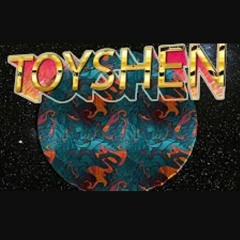 Toyshen - Networth