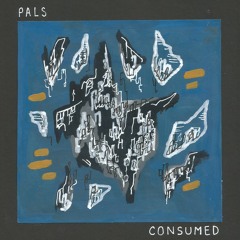 PALS - Consumed
