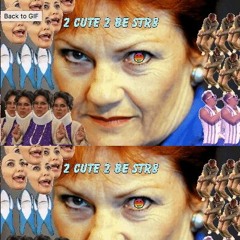 Homosexual by Pauline Hanson