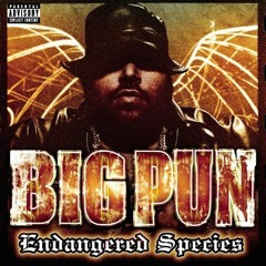 Big pun - Brave In The Heart (instrumental)