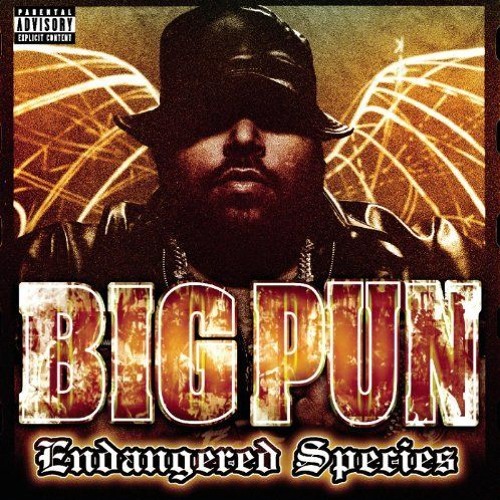 Big pun - Brave In The Heart (instrumental)