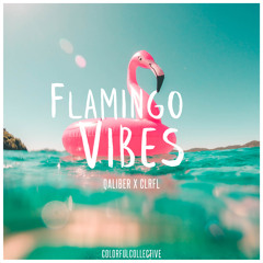 Qaliber & CLRFL - Flamingo Vibes (Original Mix)