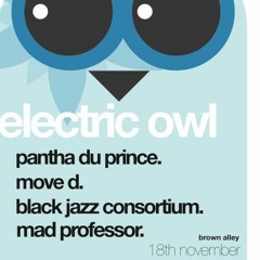 Alam (downtempo opening) @ Electric Owl - BrownAlley, Melbourne Nov2011