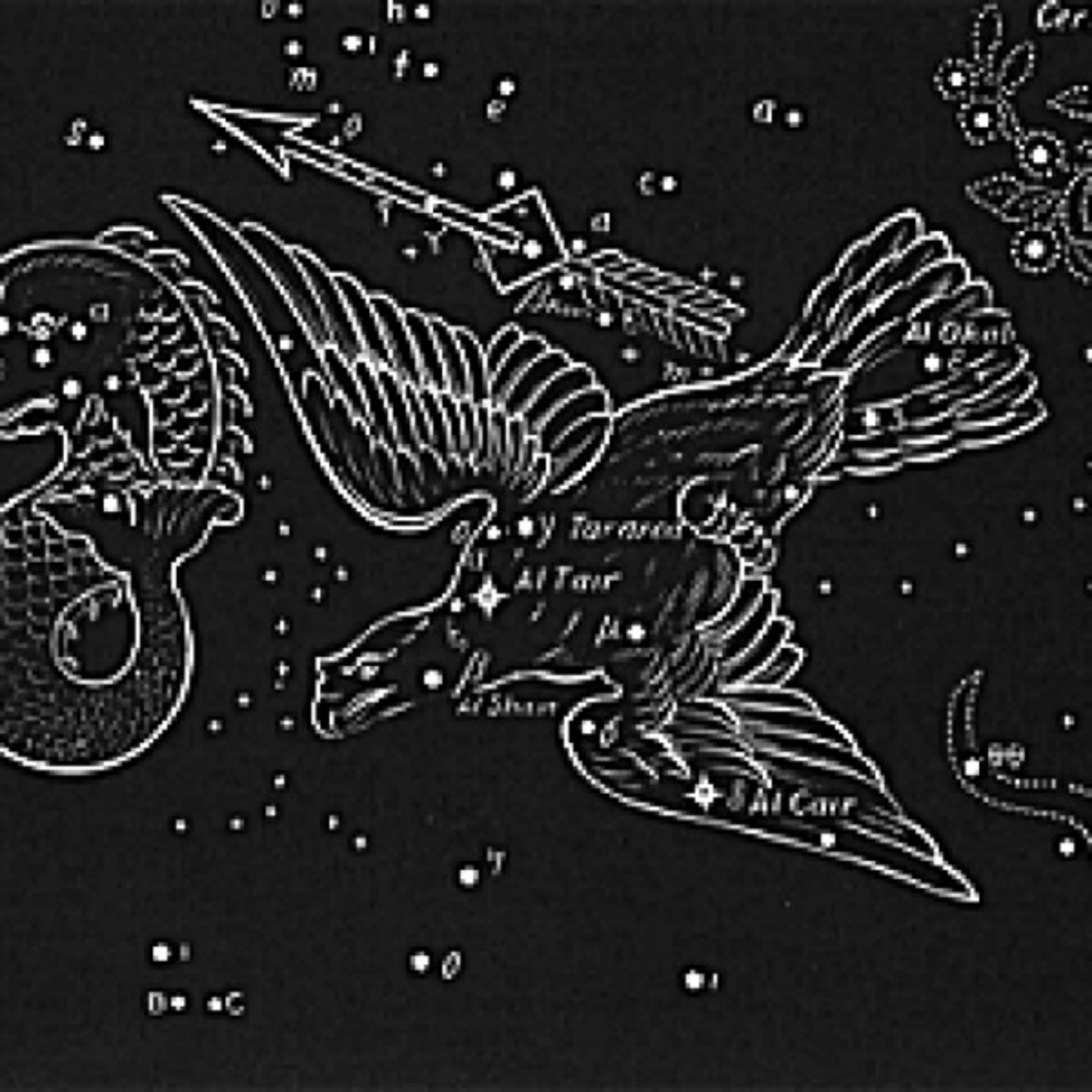 Chillout Sayan episode artwork