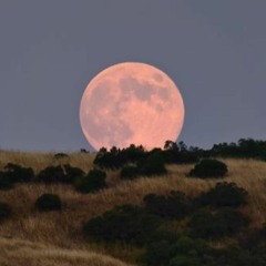 Burning Ranch 2018 | Auf Wiedersehen USA