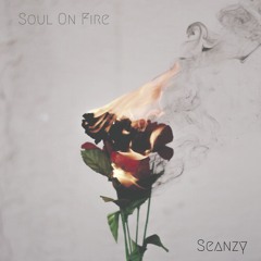 SEANZY SOUL ON FIRE