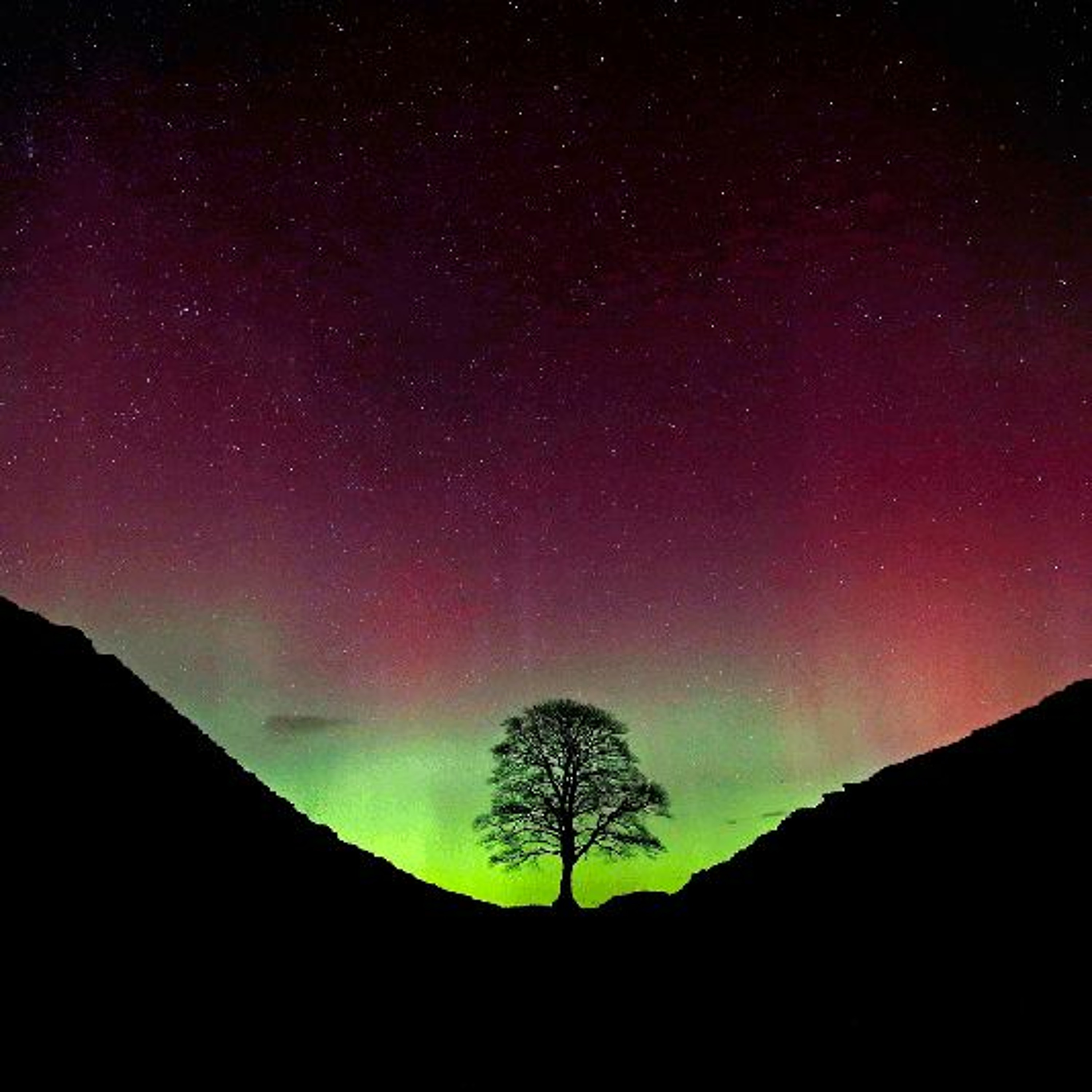 Aurora Borealis episode artwork