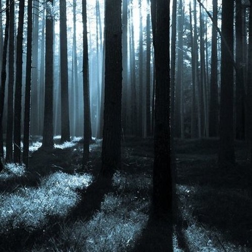 Bad Road - Matth Panda