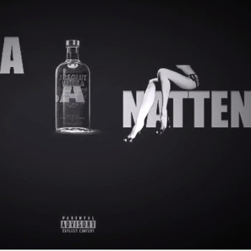 Prince D X Zizo - Hela Natten